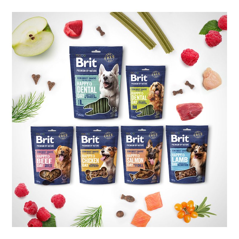 Brit Premium by Nature Dog Dental Snacks L 250 g 