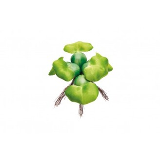 Pontec PondoHyacinth