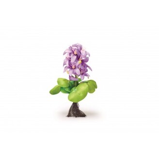 Pontec PondoHyacinth Blooming