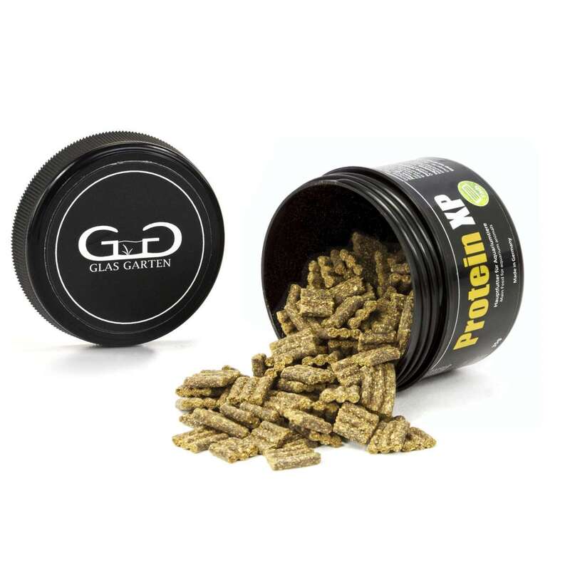 GlasGarten – Protein XP 35g