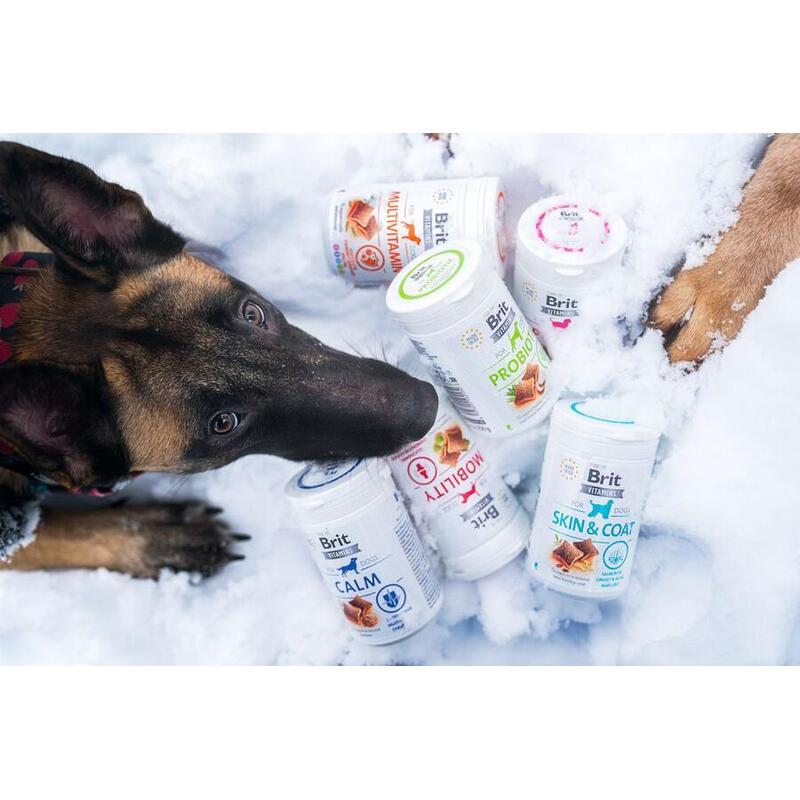 Brit Vitamins Puppy 150 g 