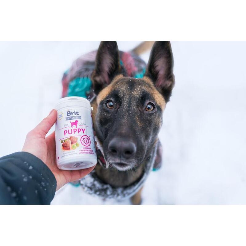 Brit Vitamins Puppy 150 g 