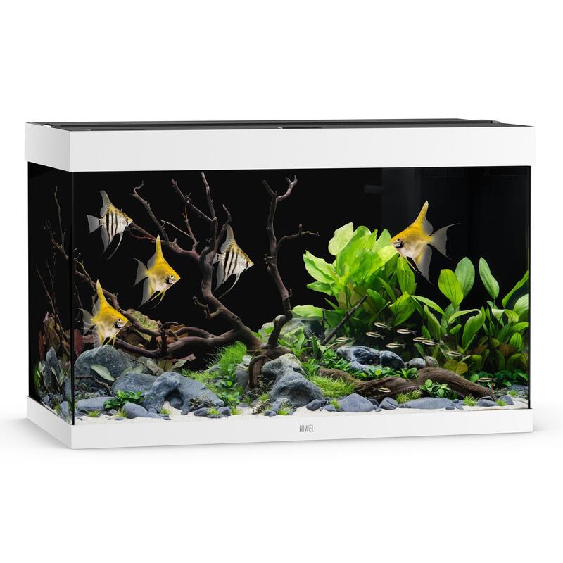 Akvárium Juwel Rio 290 LED bílé