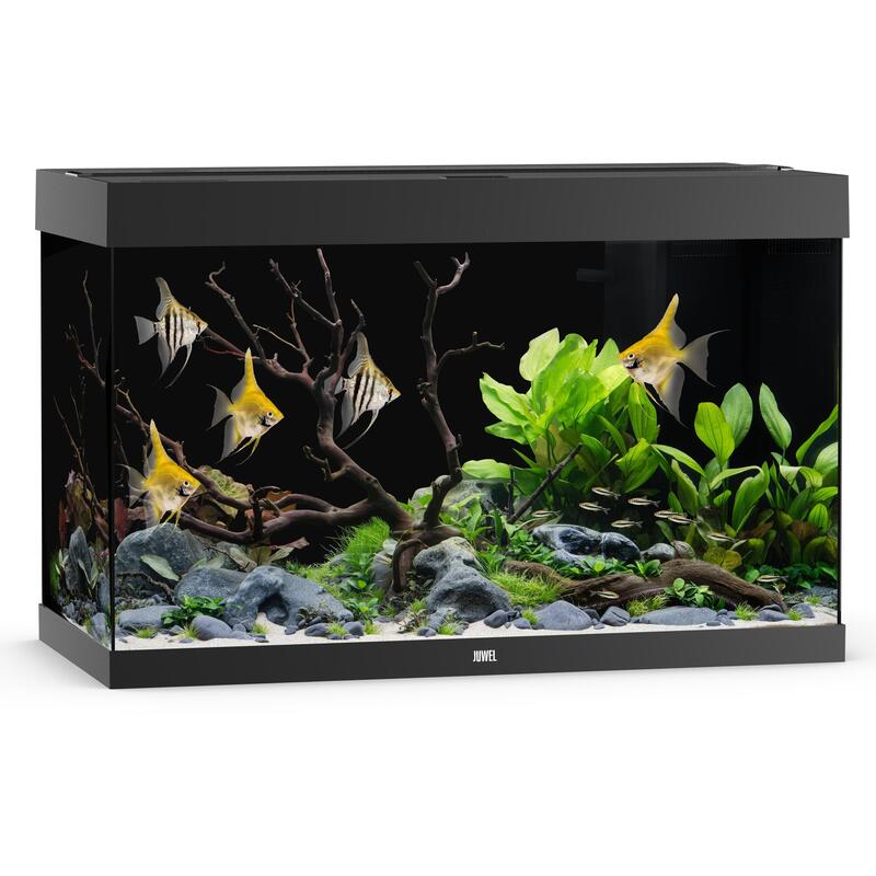 Akvárium Juwel Rio 290 LED černé