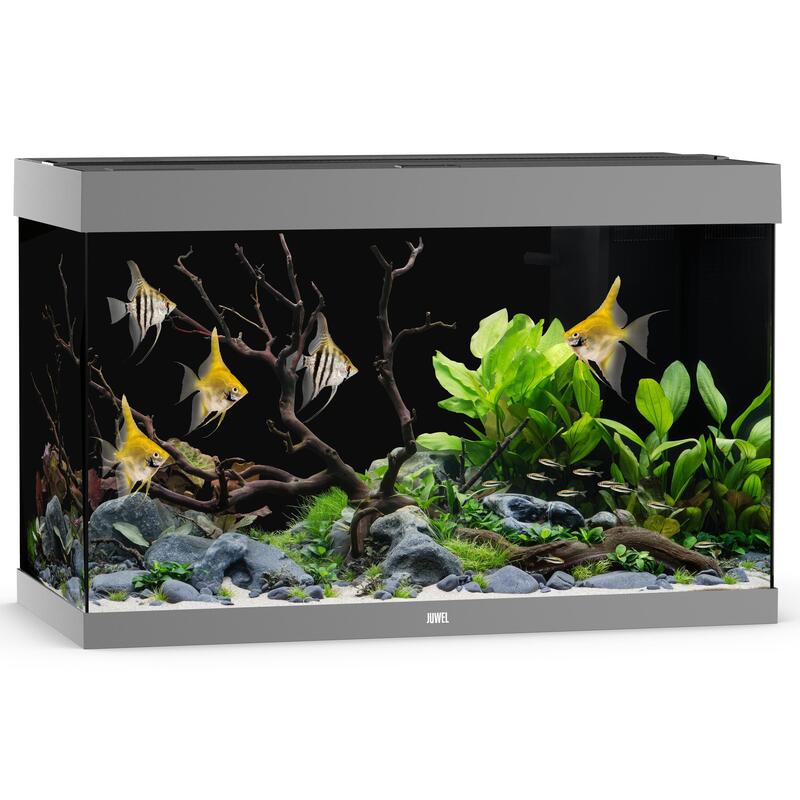 Akvárium Juwel Rio 290 LED šedé