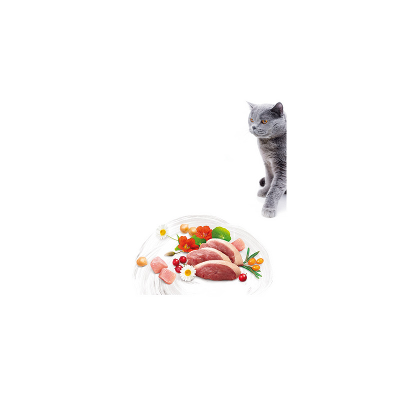 Brit Care Cat Grain-Free Sterilized Weight Control 2 kg