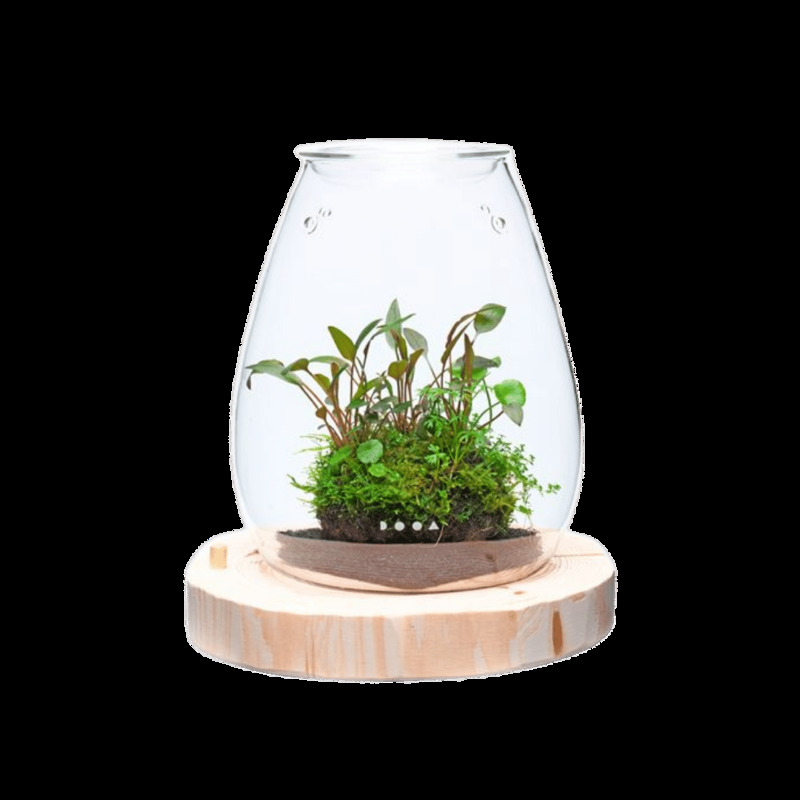 DOOA Wood Base SHIZUKI