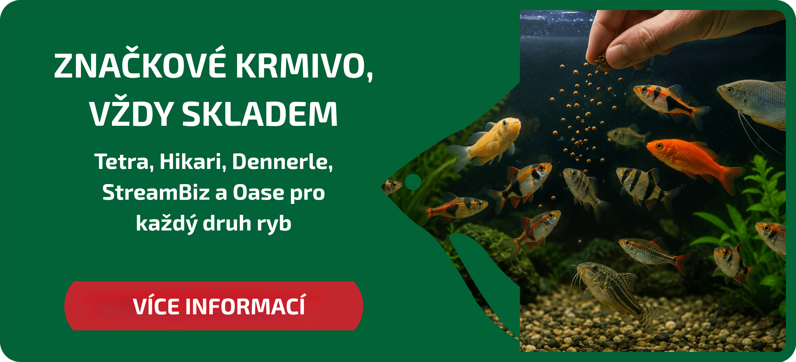 hlavni
