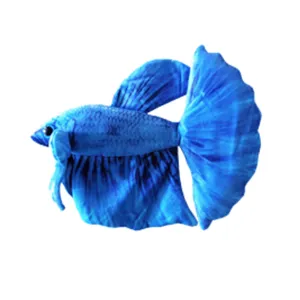 Plyšák Blue Betta fish