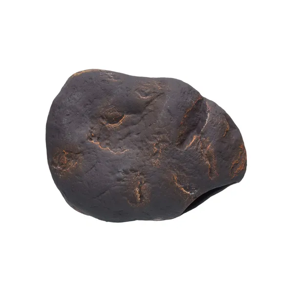 Cichlid stone Magma M