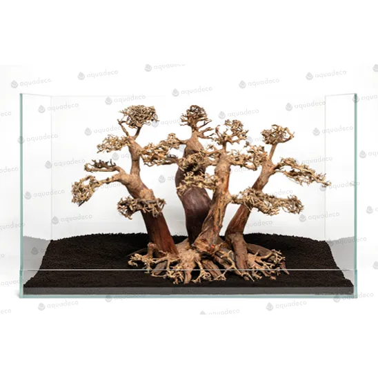 Forest bonsai S