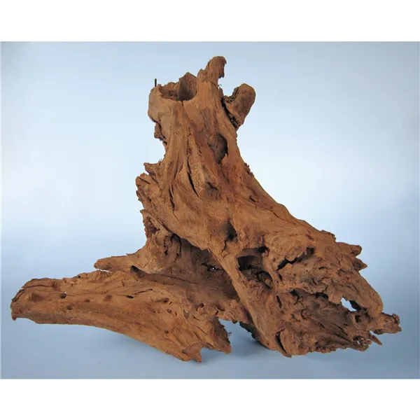 Kořen Mangrove L 35-60 cm