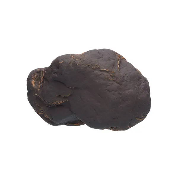 Cichlid stone Magma S