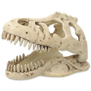 Dekorace T-rex lebka Dekorace T-rex lebka