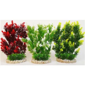 Rostlina Hedge 25 cm Rostlina Hedge 25 cm