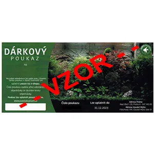 Dárkový poukaz v hodnotě 5000kč Dárkový poukaz v hodnotě 5000kč