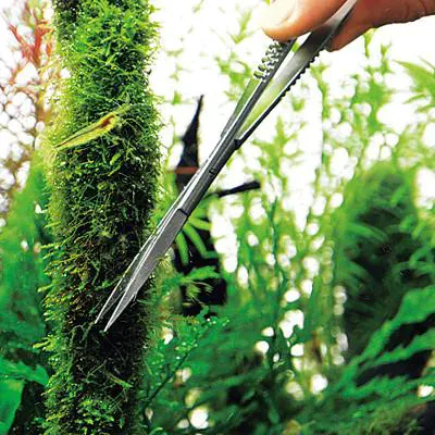 ADA nůžky Pro-Scissors Spring rovné