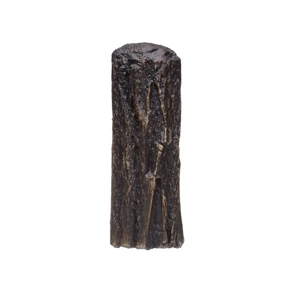 Pleco cave natural L