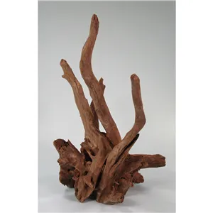 Kořen Corbo M 40-50 cm Kořen Corbo M 40-50 cm