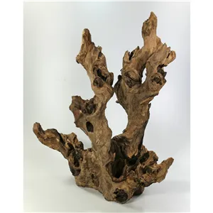 Kořen Barico XL 45-60 cm Kořen Barico XL 45-60 cm
