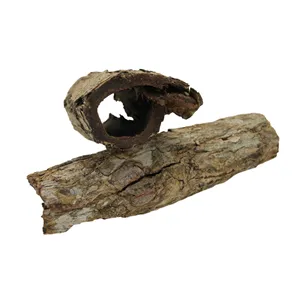 Kůra Mandlovníku mořského 1 trubička Kůra Mandlovníku mořského 1 trubička