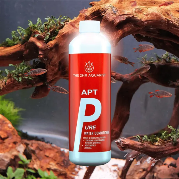 2Hr APTp Pure 300 ml