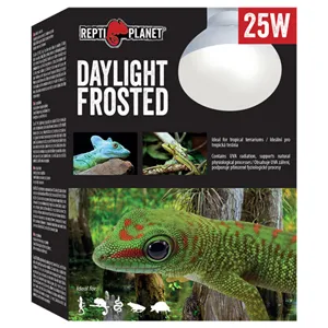 Žárovka REPTI PLANET Daylight Frosted 25 W Žárovka REPTI PLANET Daylight Frosted 25 W