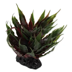 Rostlina REPTI PLANET sukulent Agave zelená 18 cm Rostlina REPTI PLANET sukulent Agave zelená 18 cm