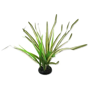 Rostlina REPTI PLANET travina Spartina 30 cm Rostlina REPTI PLANET travina Spartina 30 cm