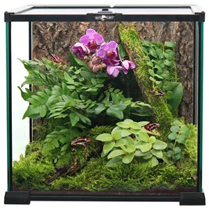 Terárium REPTI PLANET skleněné 20 x 20 x 20 cm Terárium REPTI PLANET skleněné 20 x 20 x 20 cm