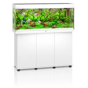 Akvárium Juwel Rio 240 LED bílé Akvárium Juwel Rio 240 LED bílé