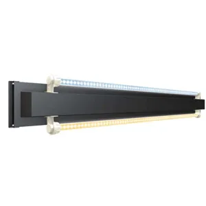 Akvárium Juwel Rio 450 LED bílé Akvárium Juwel Rio 450 LED bílé