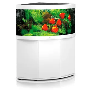 Akvárium Juwel Trigon 350 LED bílé Akvárium Juwel Trigon 350 LED bílé