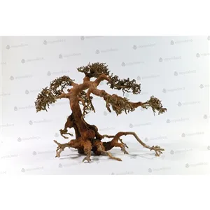 Aqua bonsai L Aqua bonsai L