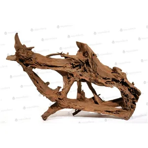 Kořen Mangrove XXXL 180 cm Kořen Mangrove XXXL 180 cm