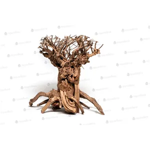 Mammut bonsai L Mammut bonsai L
