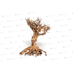 Mammut bonsai M Mammut bonsai M