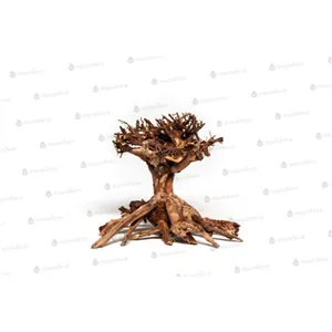 Mammut bonsai S Mammut bonsai S