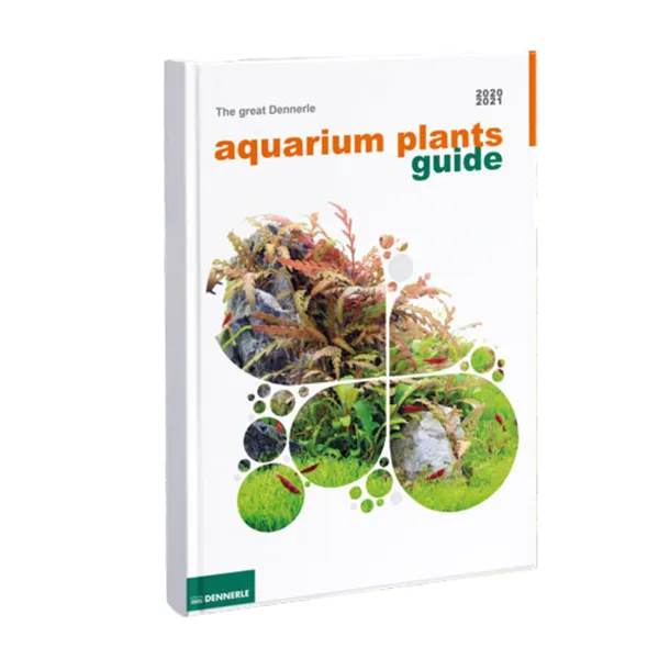 Tropica Leptodictyum 1-2 Grow!