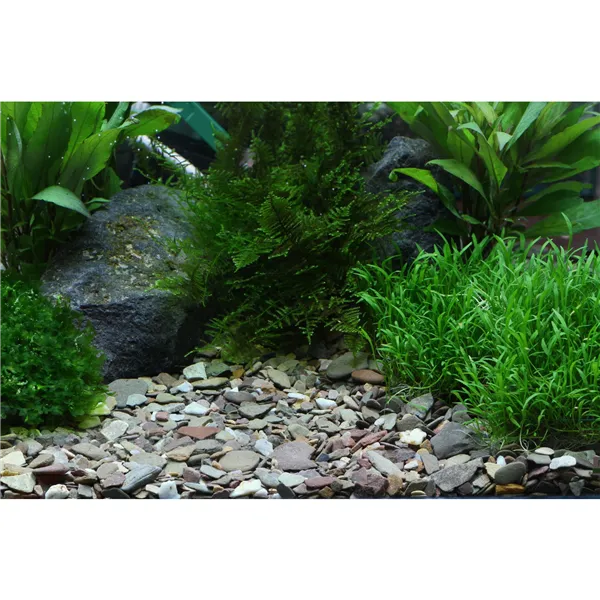 DENNERLE Přírodní štěrk Rio Xingu 2-22 mm 0,5 kg