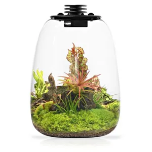 Bioloark BioBottle QD172 Bioloark BioBottle QD172