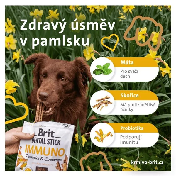 Brit Dental Stick Immuno with Probiotics & Cinnamon 7 pcs 251 g 