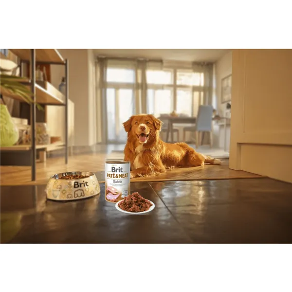 Brit Paté & Meat Dog Rabbit 400 g 
