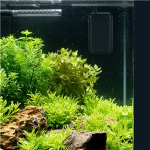 Dennerle Konstantní ohřívač, 50 W Dennerle Konstantní ohřívač, 50 W