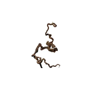 Kořen Winewood M 40-70 cm Kořen Winewood M 40-70 cm