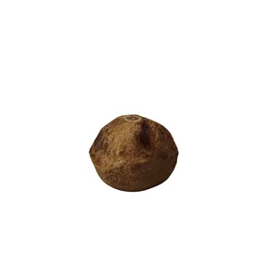 CeramicNature Sapucala pods XL CeramicNature Sapucala pods XL