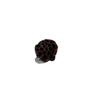 CeramicNature Lotus pods XXL CeramicNature Lotus pods XXL
