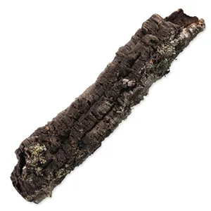 Dekorace Repti Planet Korková kůra S 12-15cm Dekorace Repti Planet Korková kůra S 12-15cm