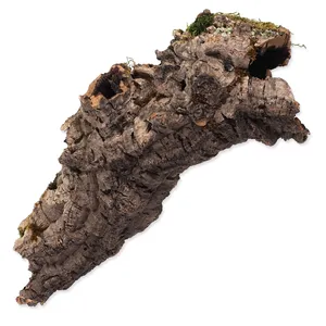 Dekorace Repti Planet Korková kůra M 15-30cm Dekorace Repti Planet Korková kůra M 15-30cm