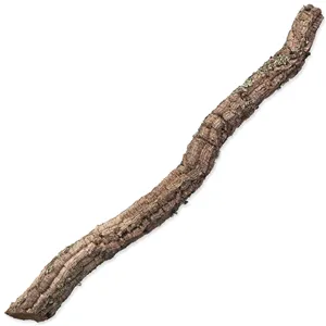 Dekorace Repti Planet Korková větev XL 90cm-120cm Dekorace Repti Planet Korková větev XL 90cm-120cm